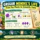 Gregor Mendel Father of Genetics